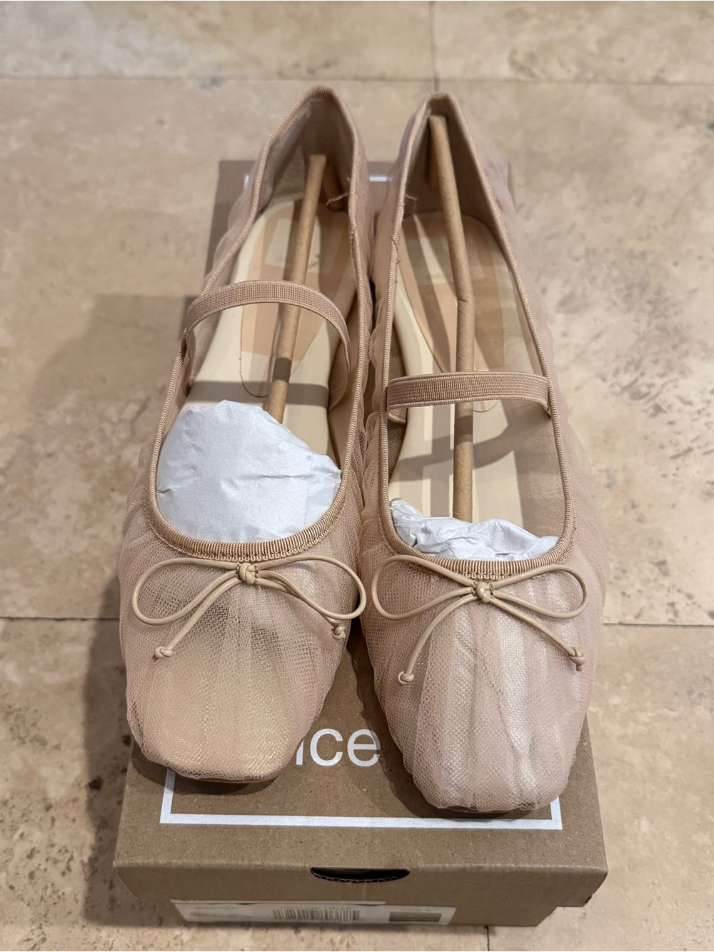 Dolce Vita Raeven Ballet Flat in Blush Tulle